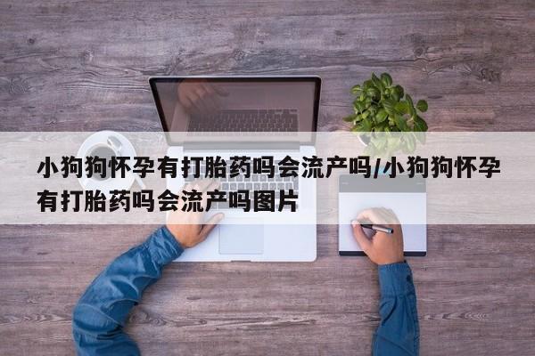 私人卖打胎药微信号,亲测有效！小狗狗怀孕有打胎药吗会流产吗/小狗狗怀孕有打胎药吗会流产吗图片