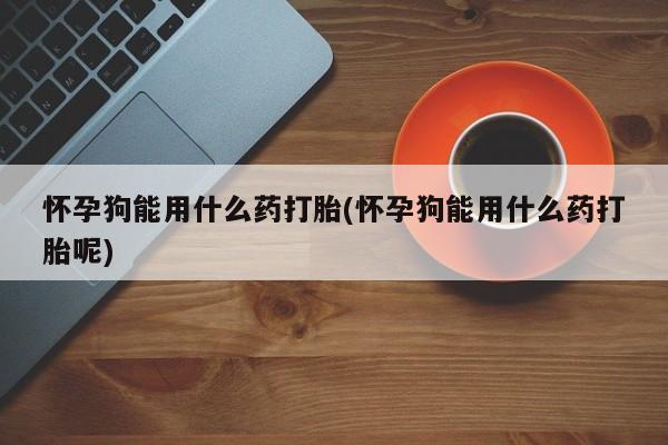 私人卖打胎药微信号,亲测有效！怀孕狗能用什么药打胎(怀孕狗能用什么药打胎呢)